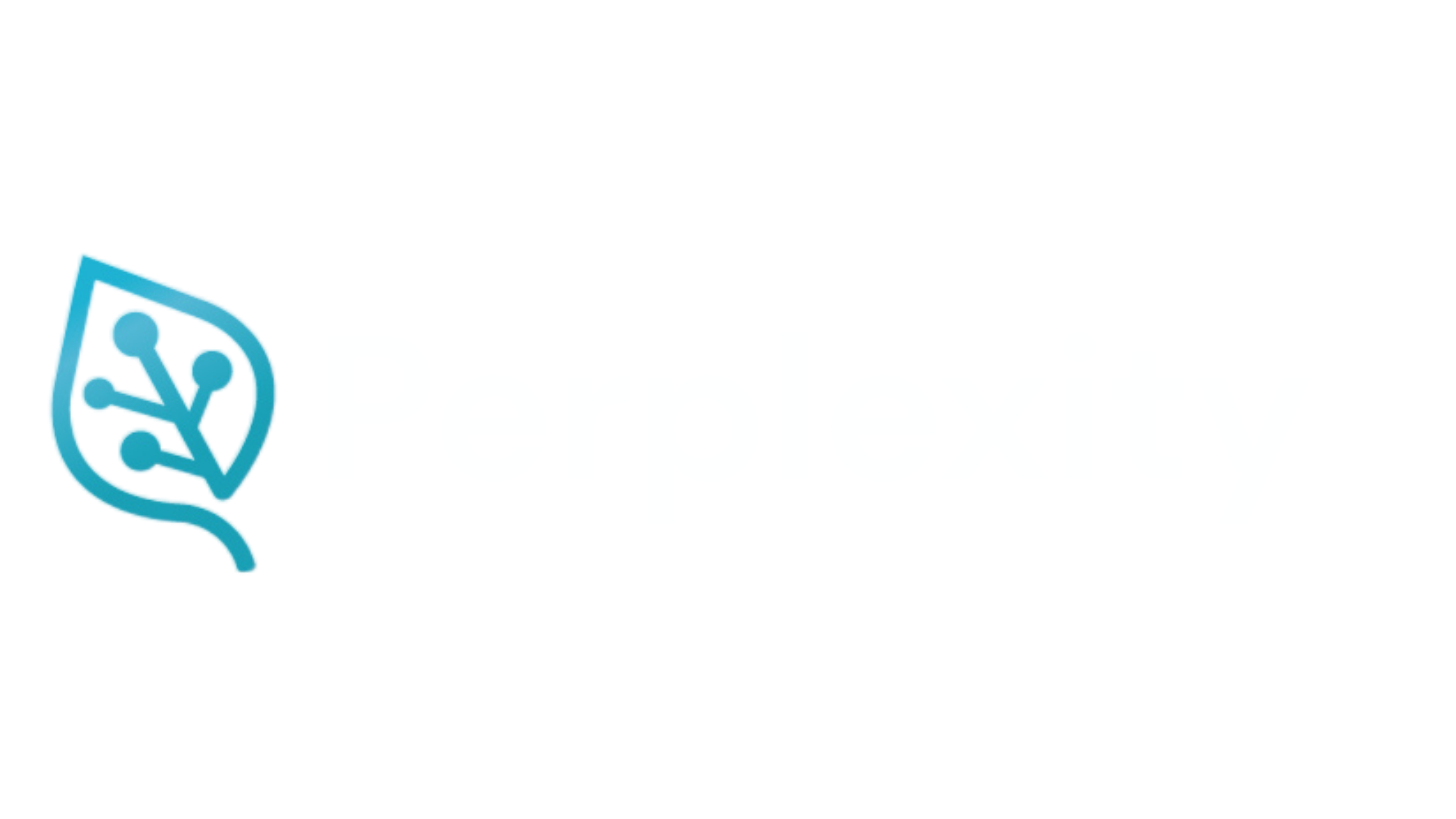 Perplexity